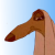Dogs