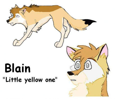Detail Blain