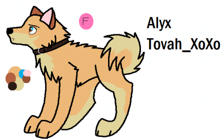 Detail Alyx