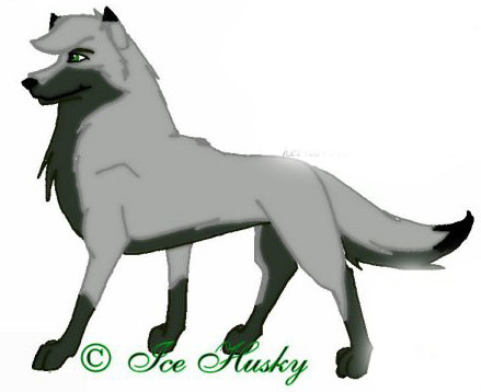 Detail Jade (Ice Husky)