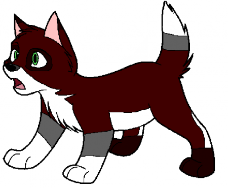 Detail Scout (tadie)