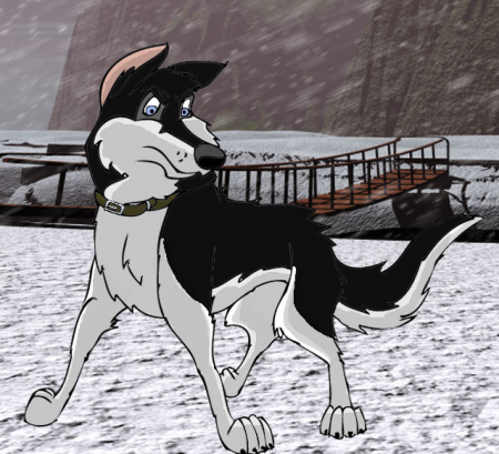 Detail Shadow DeCanidae Husky