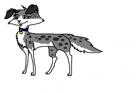 Detail Ash(mabel's mate)