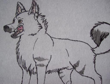 Detail Aleksei