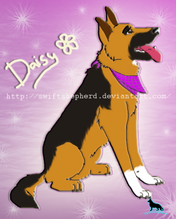 Detail Daisy (GSD)