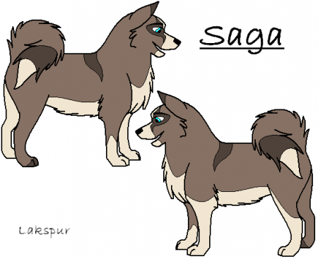 Detail Saga