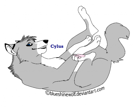 Detail Cylus