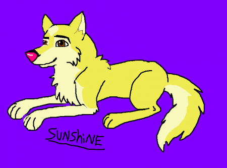 Detail Sunshine(LHJ)