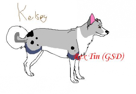 Detail Kelsey