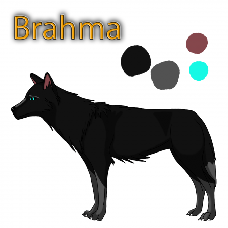 Detail Brahma