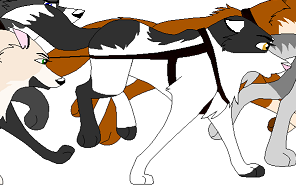 Detail Mirage(Kat's)