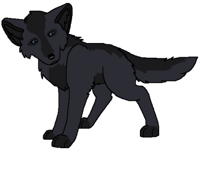 Detail Doby (wolf-prince)