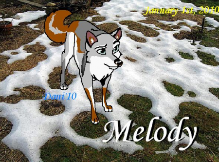 Detail Melody/Karah