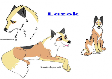 Detail Lazok