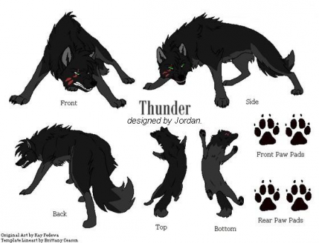 Detail Thunder. (Shakira Silvermoon)