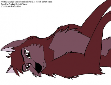Detail Darren (Wolfdog)