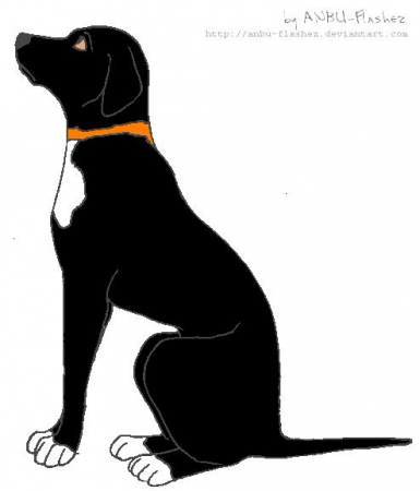 Detail Callie (Dog)
