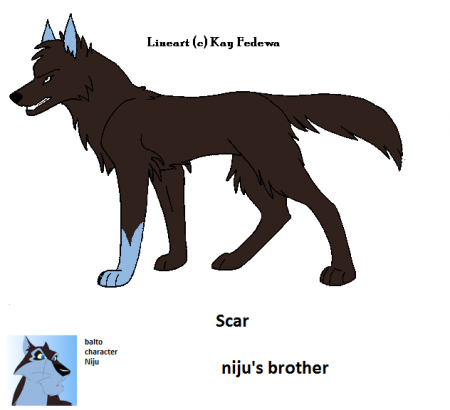 Detail Scar (niju's brother)