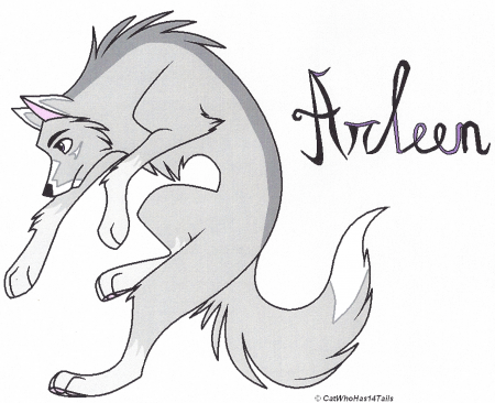 Detail Arleen (FW)