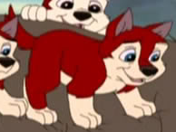 Detail Jackie (daughter of Balto and Jenna, sis of Kodi, Aleu, Namine, and others)