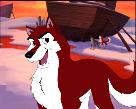 Detail Dingo: