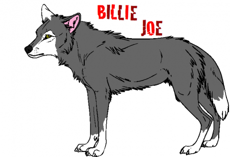 Detail Billie Joe