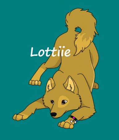 Detail Lottiie 