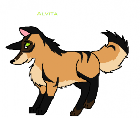Detail Alvita