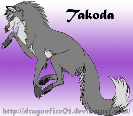 Detail Takoda