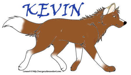 Detail Kevin