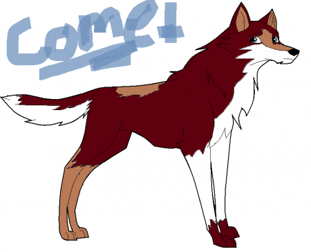 Detail Comet (Comy)