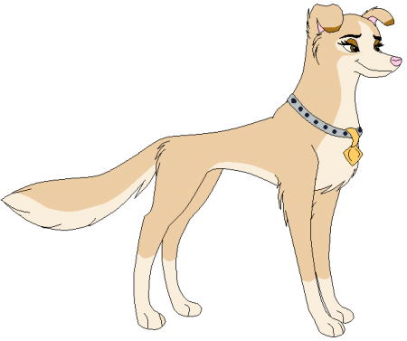 Detail Juste