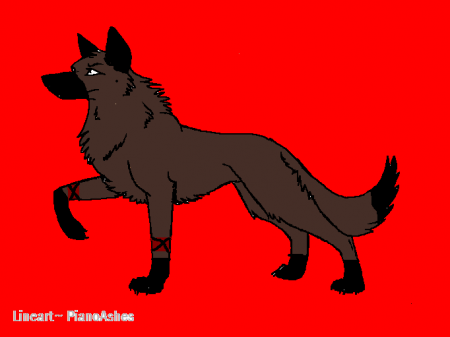 Detail chase (wolf)