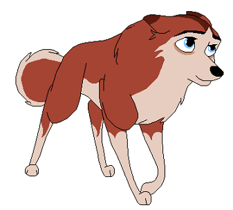 Detail Dingo