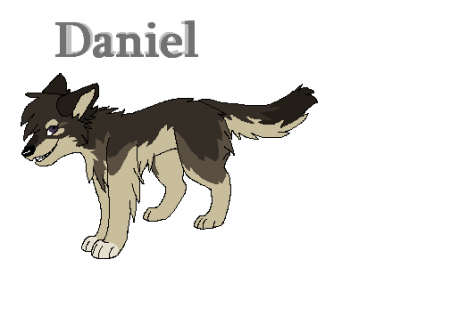 Detail Daniel(N)