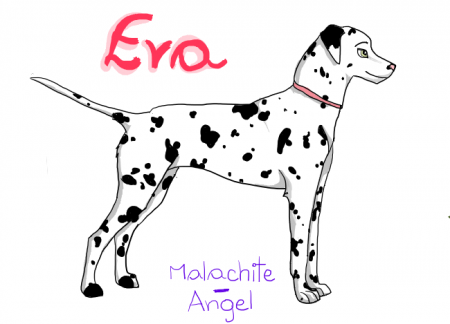 Detail Eva(M-A)