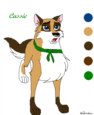 Detail Cassie SR