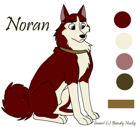 Detail Noran