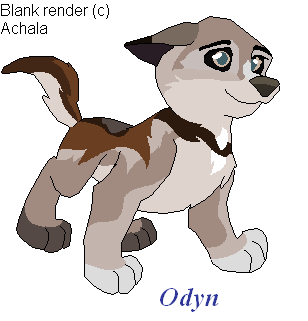 Detail Odyn