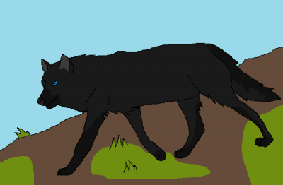 Detail Ash (Bearpelt)