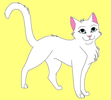 Detail Nisa (Bluecat)