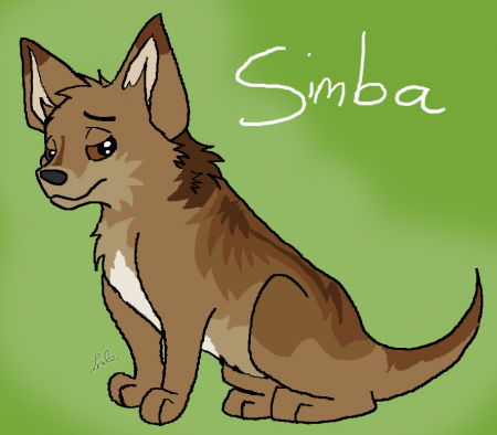 Detail Simba (Java)