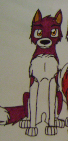 Detail Rico