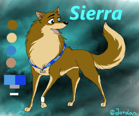 Detail Sierra (Shakira)
