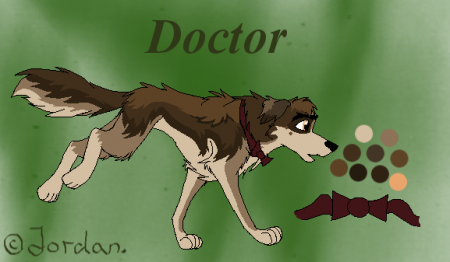 Detail Doctor.