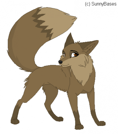 Detail Mokii (WolvesLover917)