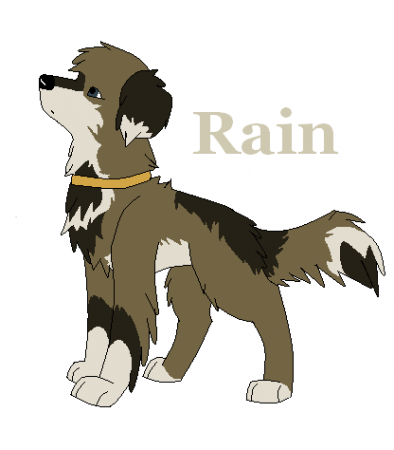 Detail Rain (wolf-prince)