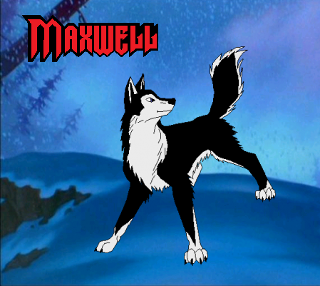Detail Maxwell -TF-