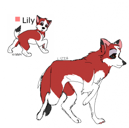 Detail :Lily: