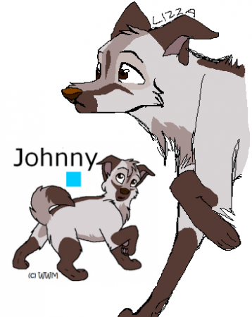 Detail -Johnny-